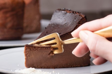 チーズケーキ ガトーショコラ フロマージュ 12cm メゾンフジヤ ショコラ チョコレート ゲランドの塩 スイーツ ケーキ ホールケーキ ごほうび 贈答用 ギフト 手土産 冷凍 北海道 函館 送料無料_HD080-005