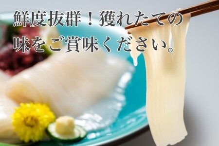 道水 いかそうめん 5人前 400g 刺身用 冷凍 鮮度抜群 専用タレ おろし生姜付き 小分けパック 便利 イカソーメン イカ 刺身 イカ刺し ご自宅用 贈答用 化粧箱入り 新鮮 おかず お酒に合う 酒の肴 おつまみ 北海道 函館 送料無料 お取り寄せグルメ_HD108-011