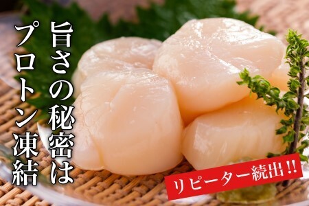 道水 北海道産プロトン帆立1kg 冷凍ホタテ貝柱 お刺身や生食可_HD108-010