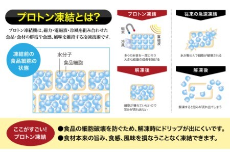 道水 北海道産プロトン帆立1kg 冷凍ホタテ貝柱 お刺身や生食可 北海道産 プロトン帆立 緊急支援品 中国禁輸の影響を受けています ホタテ 貝柱 お刺身 生食可 ほたて 帆立 刺身 魚介 冷凍 ご飯のお供 フライ シチュー カルパッチョ 北海道 函館 道水 送料無料 お取り寄せグルメ お取り寄せ_HD108-010