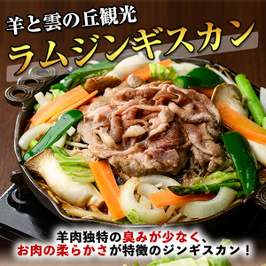 【B7031】特製 ラム ジンギスカン(750g×2袋) 羊 羊肉 ラム肉 冷凍 焼肉 ジンギスカン ラムジンギスカン 醤油ベース タレ 味付き BBQ バーベキュー 【羊と雲の丘観光】
