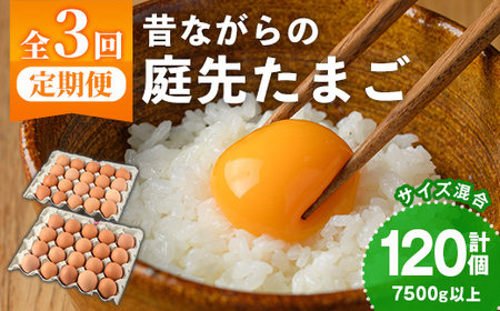 【C7048】《定期便・計3回》昔ながらの庭先たまご (40個×3回 計120個・サイズ混合) 卵 玉子 たまご 定期便 平飼い 40個 濃厚 うまみ 卵かけご飯 目玉焼き 卵焼き ごはん おかず【ファームあるむ】