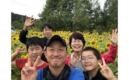 【B7122】＜特別栽培＞北海道士別市産 きらめきトマト Mサイズ (1.8kg) 【2026年7月以降順次発送】 野菜 とまと トマト 新鮮 産地直送 甘い 完熟 リコピン 北海道 北海道産 国産 旬 【あったかふぁーむ】