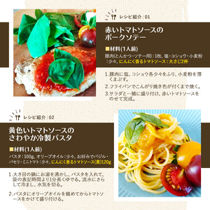 【A7069】にんにく香るトマトソース3種セット(120g×3瓶) トマト トマトソース ソース ニンニク にんにく 調味料 料理 パスタ ピザ 【やぶかわ農園】