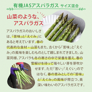 ＜季節限定＞有機JASアスパラガス(約1kg・サイズ混合おまかせ) 【先行予約受付中・2026年4月中旬から順次発送】期間限定 アスパラ グリーンアスパラ 旬 野菜 【イナゾーファーム】【B7099】