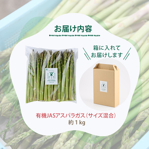 ＜季節限定＞有機JASアスパラガス(約1kg・サイズ混合おまかせ) 【先行予約受付中・2026年4月中旬から順次発送】期間限定 アスパラ グリーンアスパラ 旬 野菜 【イナゾーファーム】【B7099】