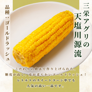 【A7124】朝採りレトルトスイートコーン ゴールドラッシュ (5パック) ゴールドラッシュ 北海道産 北海道 士別市 とうもろこし トウモロコシ とうきび 【三栄アグリ】