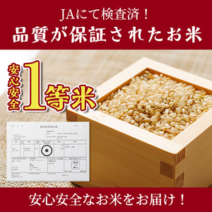 【B7137】上士別清流米 ゆめぴりか 玄米 (5kg) 米 お米 玄米 北海道米 ごはん ゆめぴりか 北海道産 士別産 5kg 【合同会社T&M】