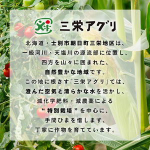 北海道士別市産！訳あり！朝採りレトルトスイートコーン(10本・20本) 北海道産 北海道 士別市 とうもろこし トウモロコシ とうきび レトルト 【三栄アグリ】【A7139】