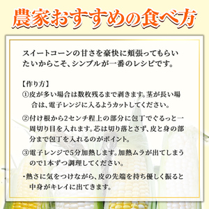 ＜期間限定＞天塩川源流スイートコーン 品種いろいろ詰め合わせ (8本) 【2026年8月下旬より順次発送】 北海道産 北海道 士別市 とうもろこし トウモロコシ とうきび コーン 野菜 産地直送 【三栄アグリ】【A7137】