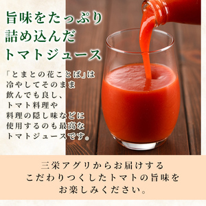 【E7045】三栄アグリのスペシャルトマトジュース (1L×9本) トマト トマトピューレ ピューレ トマトジュース ジュース アグリオーレ うまみ 野菜 飲料 料理 【三栄アグリ】