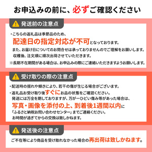 2月発送【 糖度保証 】家庭用 葉取らず サンふじ 約 3kg【 訳あり 】鶴翔りんごGAP部会 青森県産 津軽産 リンゴ 林檎 果物 フルーツ デザート 甘味