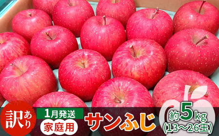 1月発送 家庭用 サンふじ 約5kg【訳あり】【原正りんご 青森県産 津軽産 リンゴ 林檎】