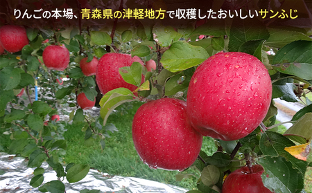 1月発送 家庭用 サンふじ 約5kg【訳あり】【原正りんご 青森県産 津軽産 リンゴ 林檎】