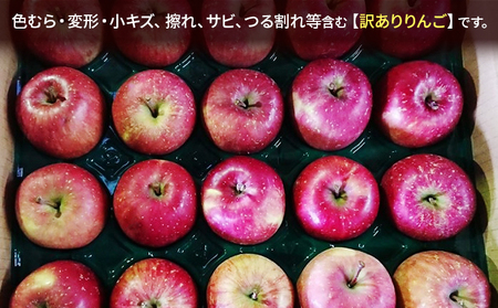 11～12月発送 家庭用 サンふじ 約5kg【訳あり】【原正りんご 青森県産 津軽産 リンゴ 林檎】