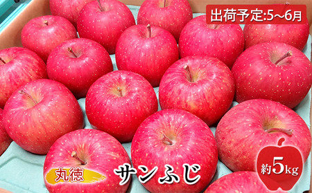 5～6月   CA貯蔵 サンふじ 約5kg【青森りんご・原正アップル・5月・6月】