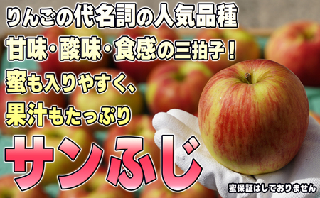 2月発送【糖度保証】家庭用 葉取らず サンふじ 約5kg【訳あり】【鶴翔りんごGAP部会 青森県産 津軽産 リンゴ 林檎】