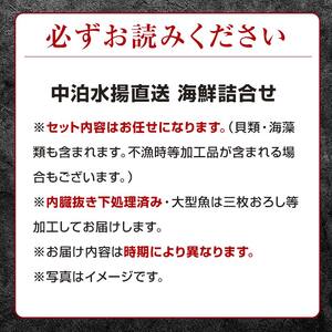 中泊水揚直送 海鮮詰合せ 大 （3～10尾程度） ※下処理済み 【徐福の里物産品直売所】 F6N-018