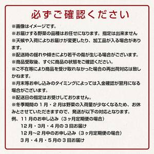 《定期便》 津軽の季節の野菜詰め合わせセット 【5ヶ月連続】 【中泊町特産物直売所ピュア】 F6N-100