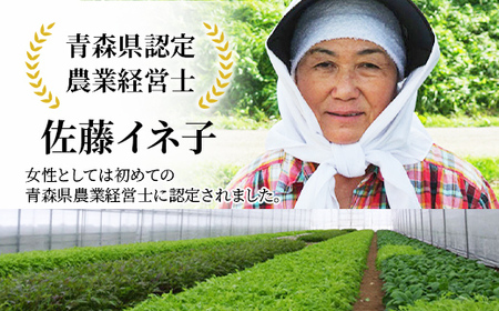 ほうれん草 約500g 【イネ子の畑から】 新鮮 産地直送 サラダ おひたし お味噌汁 スムージー ほうれん草 ジュース ほうれんそう  F6N-287