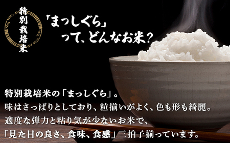 青森県産　特別栽培米まっしぐら10kgと十穀米セット【02402-0219】