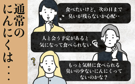 マイルドにんにく A級品 Lサイズ3kg【国産 にんにく A級品 Lサイズ 新鮮 野菜 長期保存 健康 贈り物 ギフト 東北 青森県 七戸町 送料無料】【02402-0318】