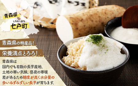 【2ヶ月定期便】ネバリスター冷凍とろろパック(50g×30個) 【長芋 山芋 イチョウ芋 大和芋 とろろ 粘り 冷凍 小分け パック 個包装 簡単 便利 プレーン 贈り物 贈答 ギフト 青森県 東北】【02402-0340】