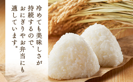 令和7年産新米】瀬川農場まっしぐら 精米10kg【ご飯 ごはん 米 こめ お