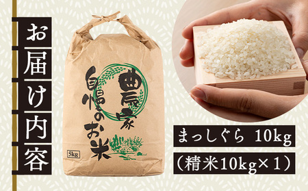 令和7年産新米】瀬川農場まっしぐら 精米10kg【ご飯 ごはん 米 こめ お