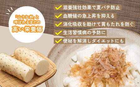 青森県産"ネバリスター"スティック (80g×10個) 【長芋 山芋 イチョウ芋 大和芋 粘り 小分け パック 個包装 簡単 便利 プレーン 青森県 東北】【02402-0381】