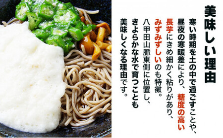 【七戸産】長芋 3kg（家庭用カット/真空パック）【山芋 ながいも とろろ 白米 ご飯のお供 粘り ヘルシー あっさり 新鮮 野菜 青森県 七戸町 常温 贈り物 お中元 ギフト】【02402-0354】