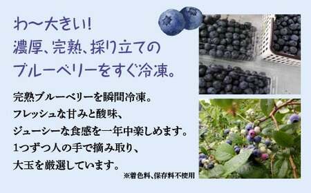減農薬＜そのまま食べられる＞冷凍ブルーベリー（300ｇ）2袋セット　【02402-0431】
