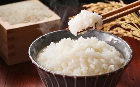 【令和7年産】まっしぐら精米　10kg　【02402-0585】