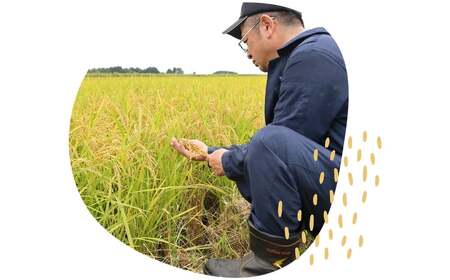 【令和7年産】まっしぐら精米　10kg　【02402-0585】