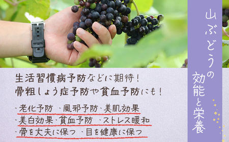 七戸町産 山ぶどうジュース（720ml×2本）【完熟 葡萄 ブドウ