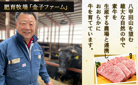 【02402-0212】NAMIKI和牛ステーキ（250g×3枚）