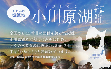 砂抜き済みで手間いらず！冷凍・小川原湖産大和しじみ2kg（500g×4袋）　【02408-0084】