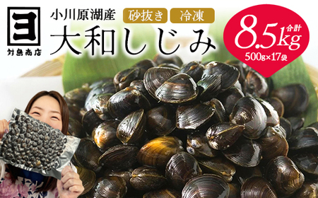 砂抜き済みで手間いらず！冷凍・小川原湖産大和しじみ8.5kg（500g×17袋）　【02408-0031】