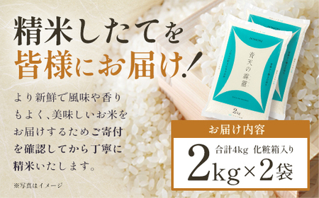 青天の霹靂　精米4kg（2kg×2袋）【02408-0108】