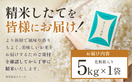 青天の霹靂　精米5kg　【02408-0109】