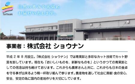 八百屋さんのごほうチップス 100g×8個 【02408-0137】