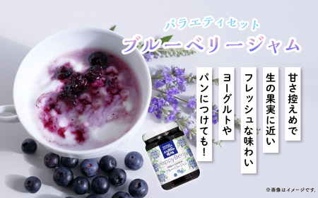 【地元ブランド】ブルーベリーバラエティー2箱セット