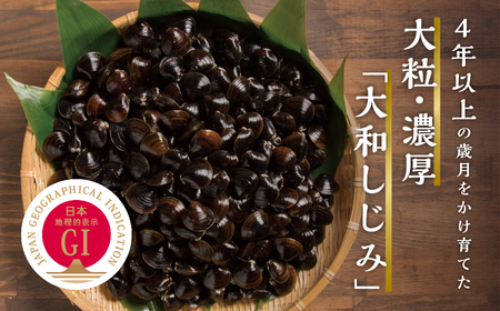 青森県 小川原湖産 冷凍 大和しじみ Lサイズ 1kg