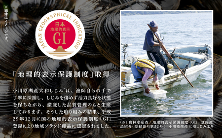 青森県 小川原湖産 冷凍 大和しじみ Lサイズ 1kg