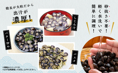 青森県 小川原湖産 冷凍 大和しじみ Lサイズ 1kg