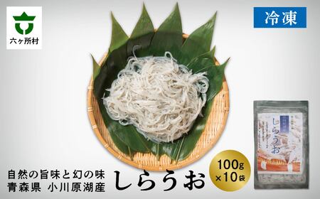青森県 小川原湖産 冷凍 しらうお 1kg