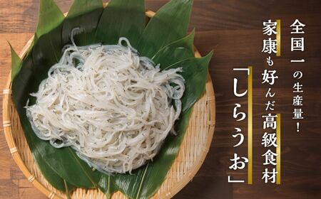 青森県 小川原湖産 冷凍 しらうお 1kg