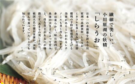 青森県 小川原湖産 冷凍 しらうお 1kg