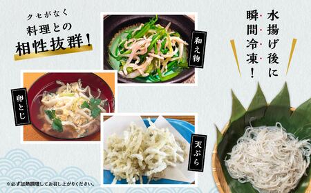 青森県 小川原湖産 冷凍 しらうお 1kg