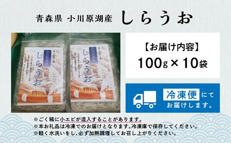 青森県 小川原湖産 冷凍 しらうお 1kg